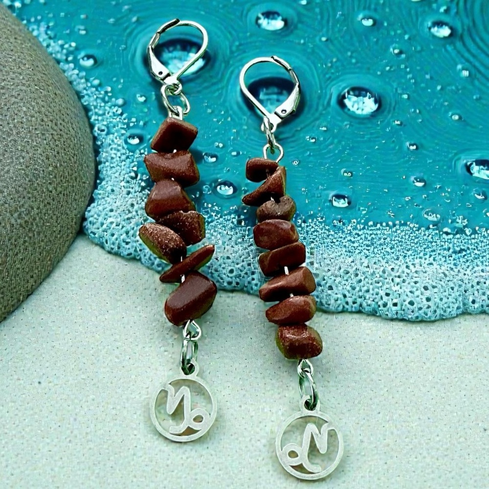 🆕 Capricorn Gemstones Dangle Earrings-Stainless Steel